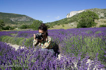 Séjour bien-être : "parfums et lavande"