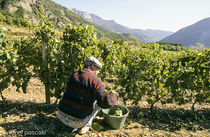 Bio, terroir et bien-être : votre week-end en Drôme provençale