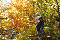Parcours aventure dans les arbres
